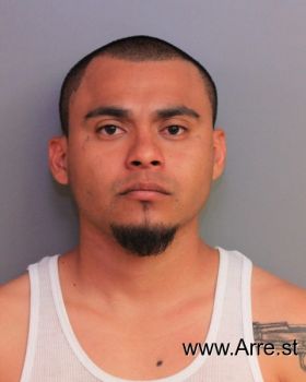 Antonio  Rosales Mugshot