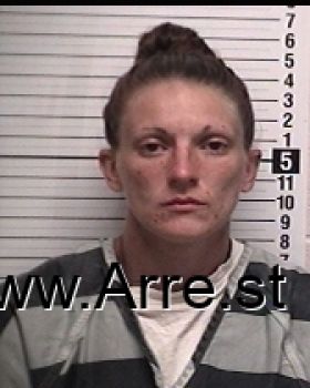 April Lavern Zimmerman Mugshot