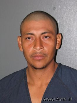 Ariel  Hernandez Mugshot