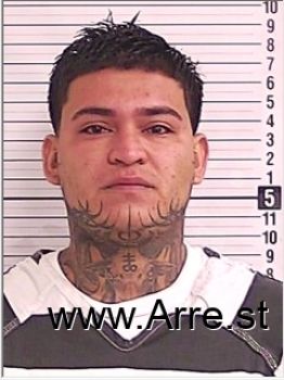 Ariel De Jesus Hernandez- Almendarez Mugshot