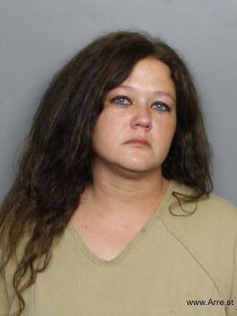 Arlene  Dvorak Mugshot