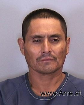 Armando  Diaz-antunez Mugshot