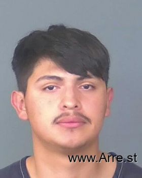 Armando  Diaz-renteria Mugshot