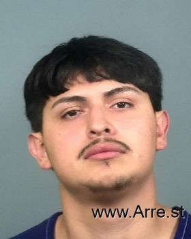 Armando  Diaz-renteria Mugshot