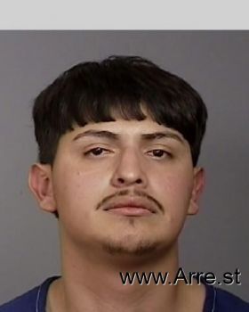 Armando  Diaz-renteria Mugshot