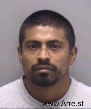 Armando  Flores-escalona Mugshot