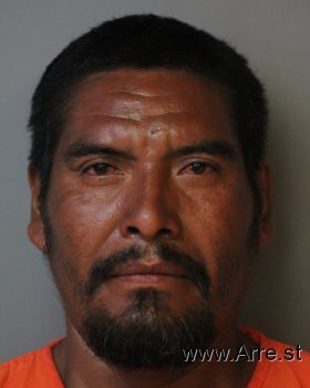 Armando  Perez Mugshot