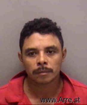 Armando  Perez-pinzon Mugshot