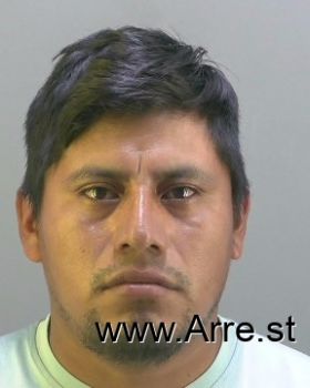 Armando Velasquez Velasquez Mugshot