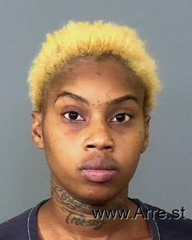 Ashley N Blake Mugshot