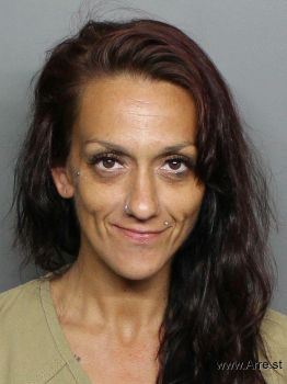 Ashley Allyn Britto Mugshot