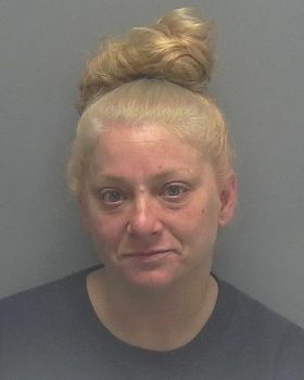 Ashley Dawn Chandler Mugshot