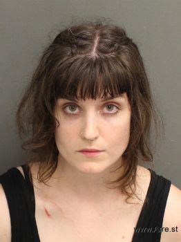 Ashley Ann Dwyer Mugshot