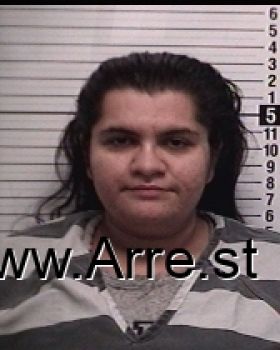 Ashley Crystal George Mugshot