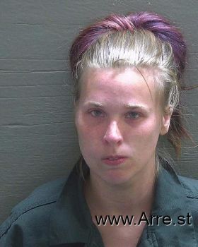 Ashley Nicole Holland Mugshot