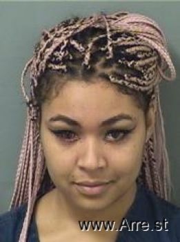 Ashley Marie Holmes Mugshot