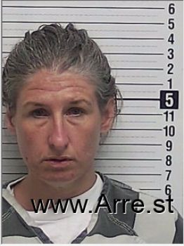 Ashley Brooke Hutchinson Mugshot