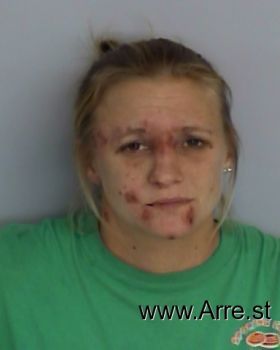 Ashley Danielle Lee Mugshot