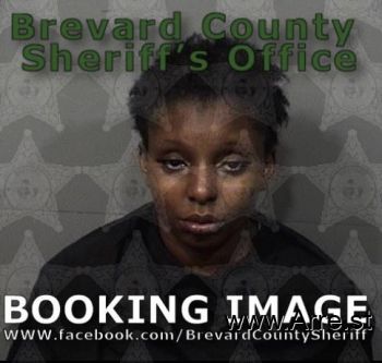 Ashley Renee Stallings Mugshot