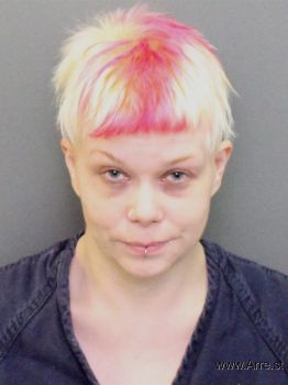 Ashley Marie Terry Mugshot