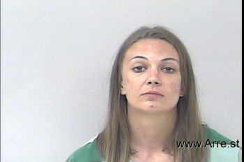 Ashley Danielle Watson Wilson Mugshot