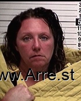 Audra Elise Taylor Mugshot