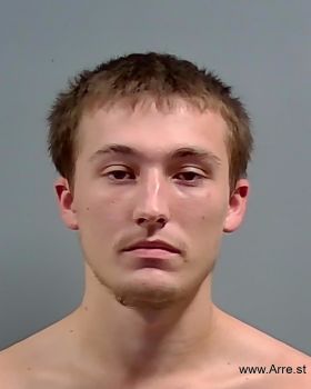 Austin Cole Davis Mugshot