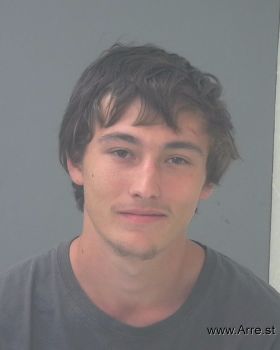 Austin Cole Davis Mugshot