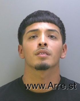 Austin David Guerrero Mugshot