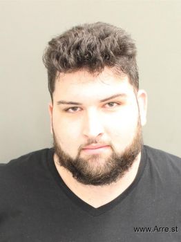 Austin Patrick Hess Mugshot