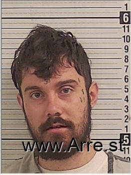 Austin Blake Holland Mugshot