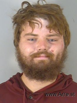 Austin Lee Mcdonald Mugshot