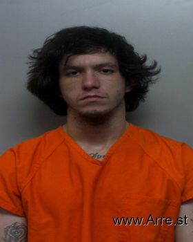 Austin  Roberts Mugshot