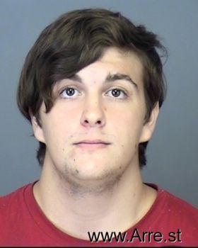 Austin Michael Williams Mugshot