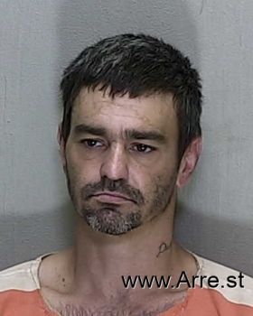 Brandon Michael Bier Mugshot