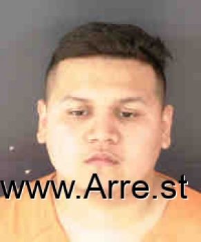 Brandon Osmar Ibarra Mugshot