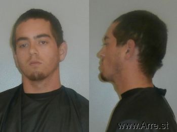 Brandon Carl Reynolds Mugshot