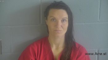 Brandy  Davis Mugshot