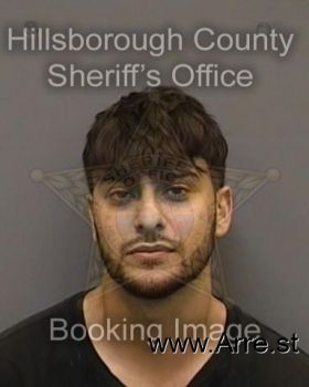 Brian Austin Frye Mugshot