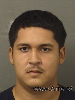 Brian  Torres Mugshot