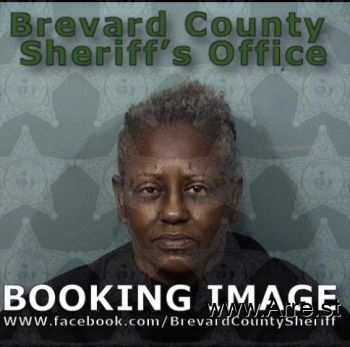 Barbara Ann Johnson Mugshot