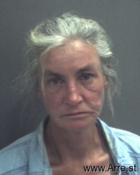 Barbara Ann Johnson Mugshot