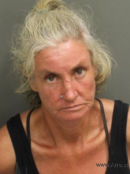 Barbara Ann Johnson Mugshot