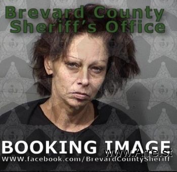 Billie Jo Williams Mugshot