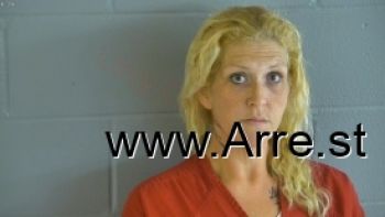 Brandi Nicole Butler Mugshot