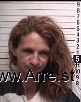 Brandi Marie Howell Mugshot