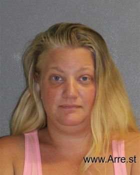 Brandi  Wilson Mugshot