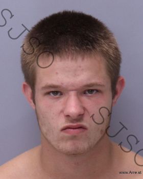 Brandon Tyler Bressette Mugshot