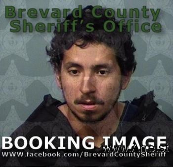 Brandon  Cardenas Mugshot