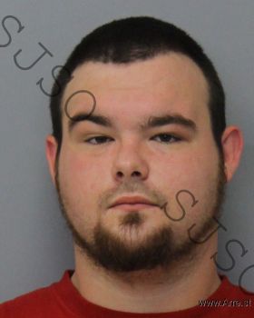 Brandon George Collins Mugshot